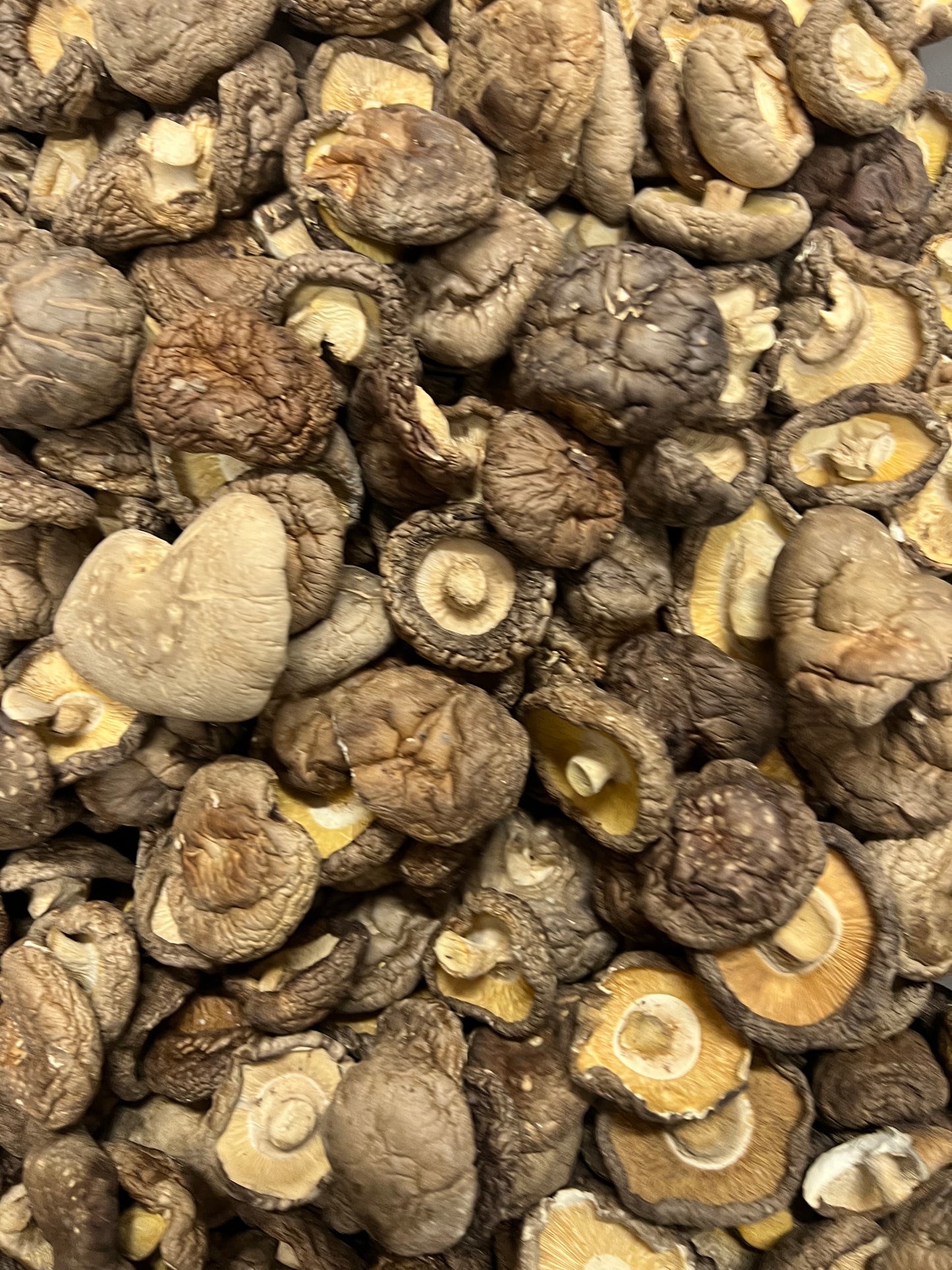 特级香菇 6oz DRIED MUSHROOM