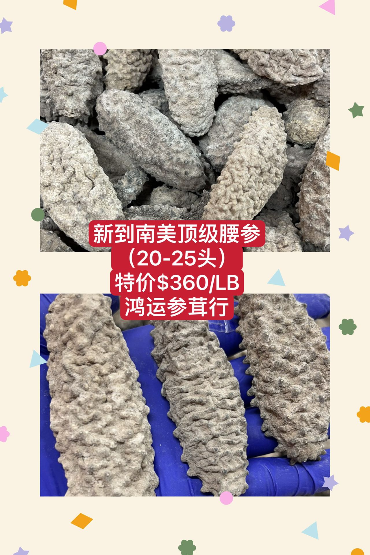 南美顶级腰参 (20-25头） Dried Sea Cucumber