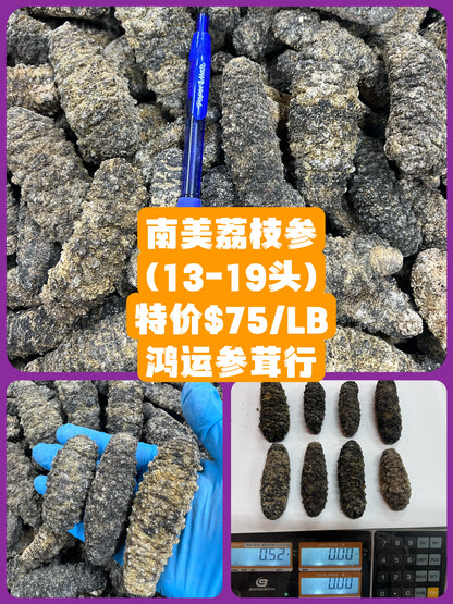 南美荔枝参(13-19头)  Lychee Sea Cucumber