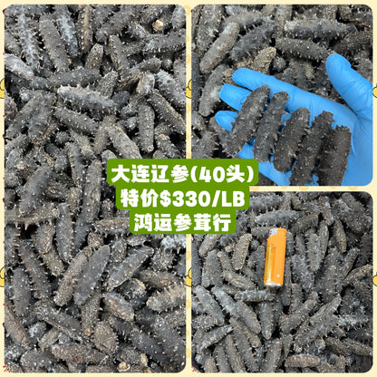 大连辽参 Liao Dried Sea Cucumber