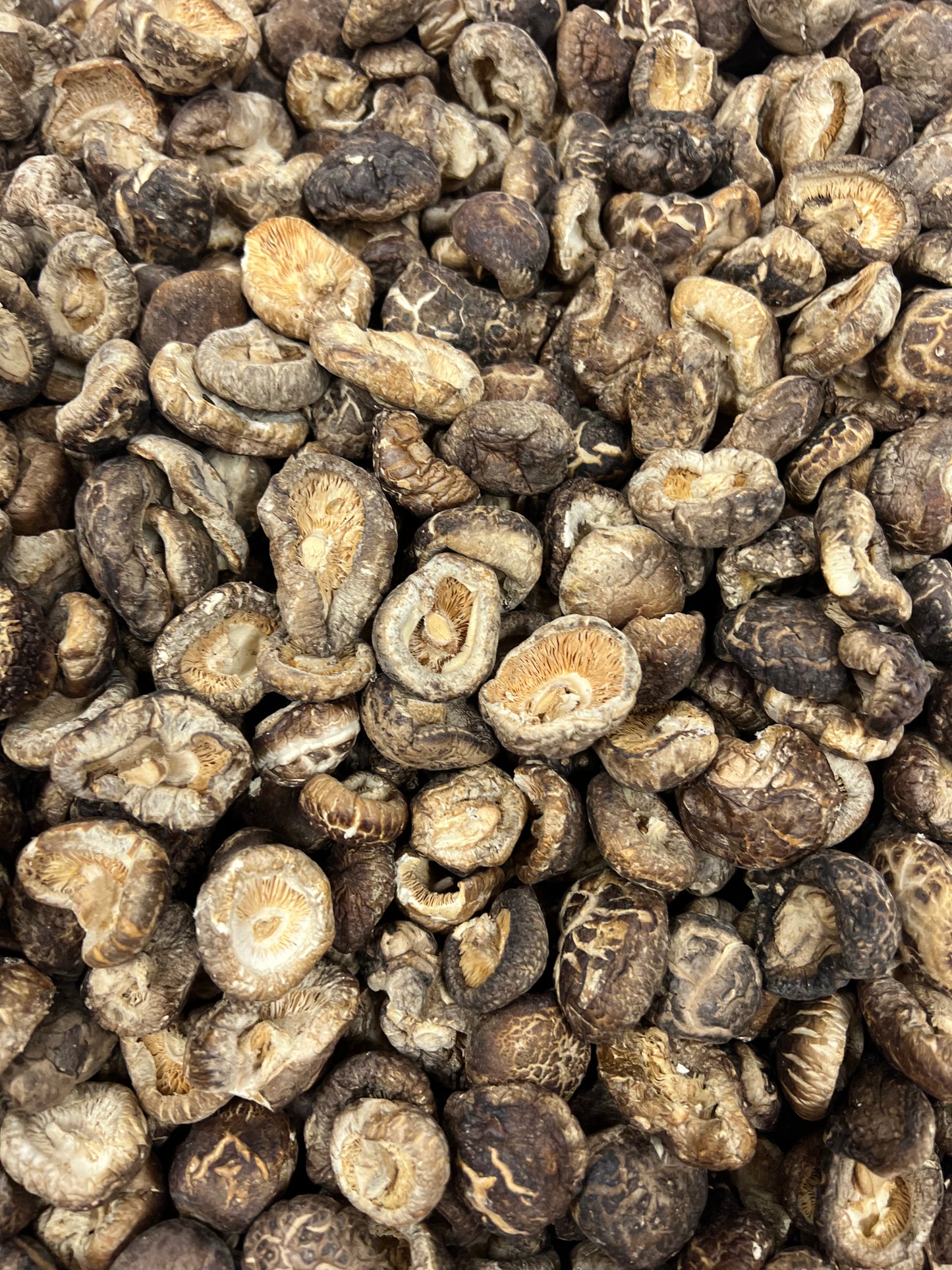 顶级无脚珍珠花菇 Dried Mushroom