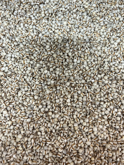 精选贵州薏米 32oz Guizhou Dried Pearl Barley