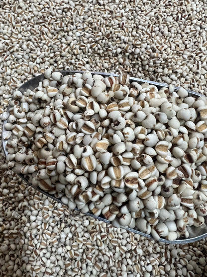 西双版纳薏米 32oz DRIED PEARL BARLEY