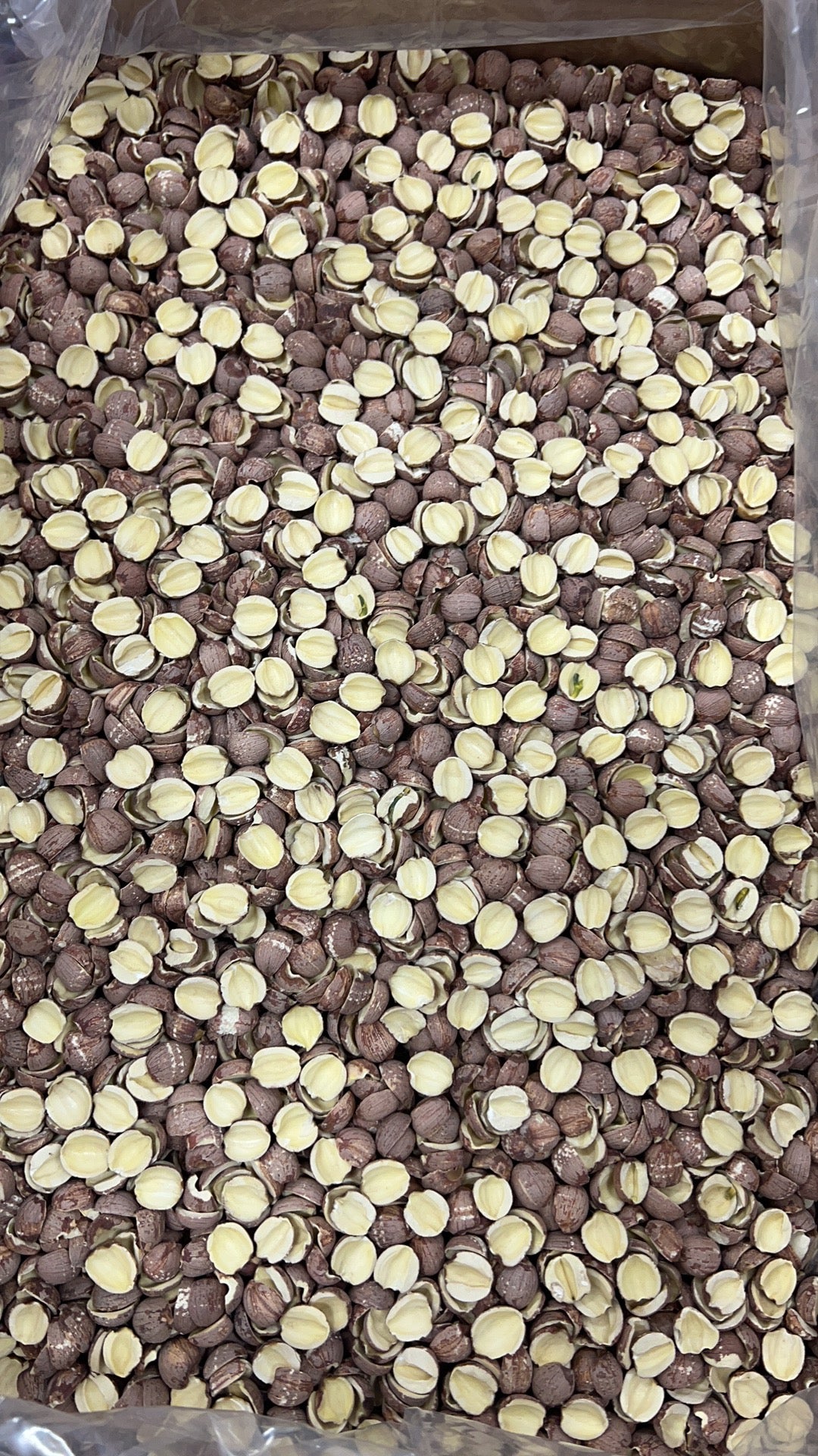 开边湘莲子 （红莲子）16oz Dried Lotus Seeds