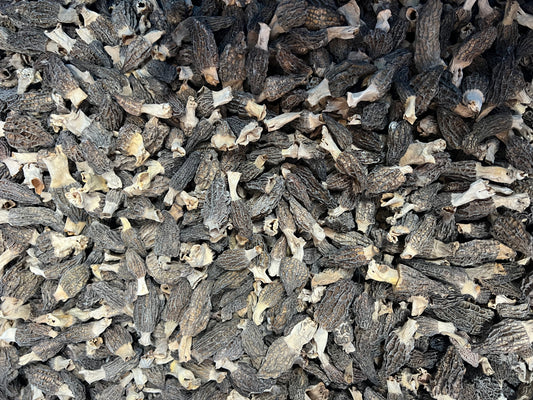 野生羊肚菌 WILD DRIED MORCHELLA